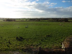 Photo 4- click for photo gallery